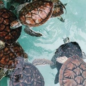 Meet your Posher, Micaela